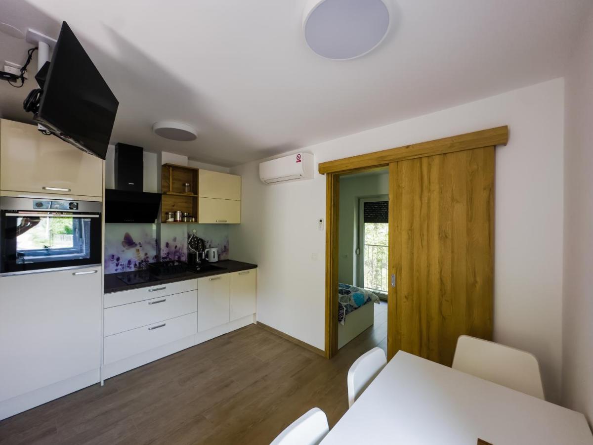 Apartmaji Silva Slap ob Idrijci Bagian luar foto